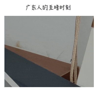 “蟑螂咬人”冲上热搜！广东网友急了