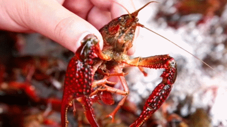 吓人！浙江小伙吃了这东西，直接休克！好多人都爱吃