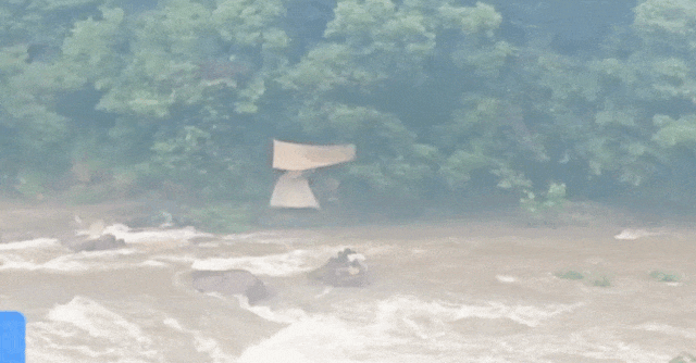 年轻情侣相约露营,一觉醒来傻眼了… 年轻情侣相约露营,一觉醒来傻眼了…