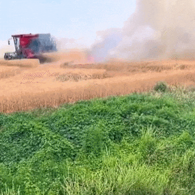 菏泽夫妻回应冲入起火麦地抢收:如果再遇到还会义无反顾冲上去 菏泽夫妻回应冲入起火麦地抢收:如果再遇到还会义无反顾冲上去