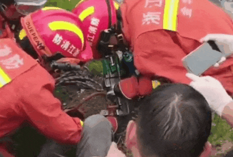 一家6口进ICU,其中5岁孩子病危!采蘑菇要提防“致命陷阱” 一家6口进ICU,其中5岁孩子病危!采蘑菇要提防“致命陷阱”