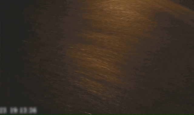 “没案子办，秃点也行！”