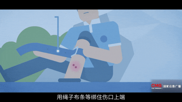 男子湖边散步脚被蛇咬伤！他忍痛拍下蛇的照片
