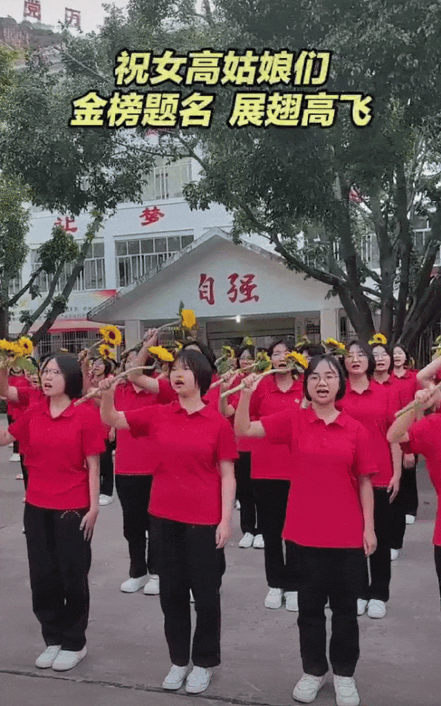 张桂梅的小喇叭，开始广播了！