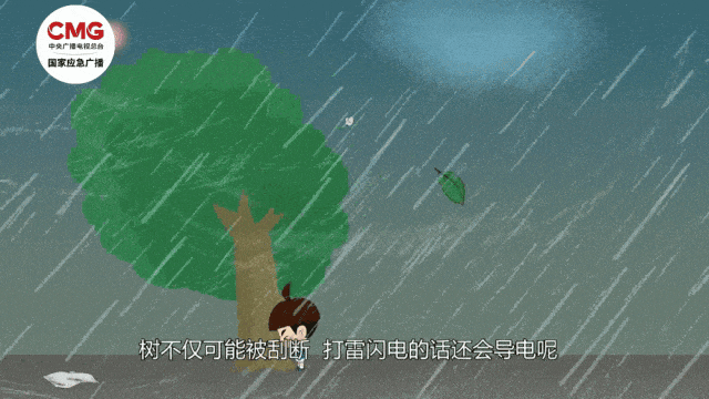 今年第1号台风“蝴蝶”要来了！