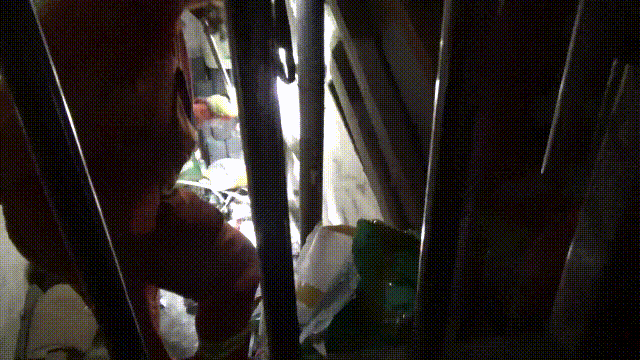 “吓人，没见过这么大的蛇！” 近期河南多地蛇出没，消防紧急提醒