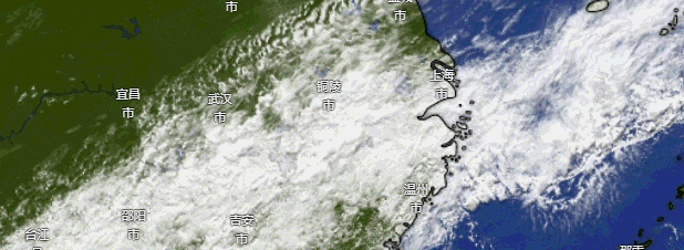 确定影响上海!今年1号台风“蝴蝶”已生成 ,预计13日登陆海南和广西 确定影响上海!今年1号台风“蝴蝶”已生成 ,预计13日登陆海南和广西