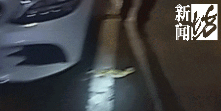 事发上海长宁区！男子开车途中突然吓懵！挡风玻璃惊现“黑影”...
