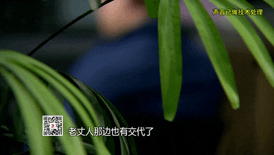 谁是杂货铺最后一个顾客？17年前悬案揭开真相…