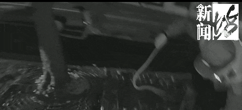 事发上海长宁区！男子开车途中突然吓懵！挡风玻璃惊现“黑影”...