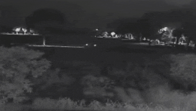 海宁羊阿姨辛苦种的生菜一夜之间全没了,警方:抓! 海宁羊阿姨辛苦种的生菜一夜之间全没了,警方:抓!