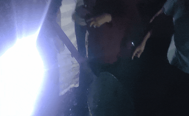 家养“在逃鸭子”引女子一头钻进“地下”?全村出动…… 家养“在逃鸭子”引女子一头钻进“地下”?全村出动……