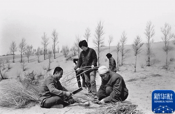 治沙这件事,他们做了一辈子 治沙这件事,他们做了一辈子