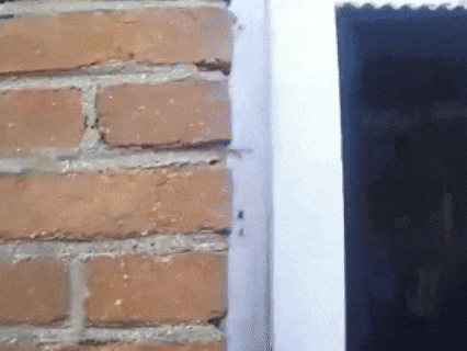 一个电话，救了一命！