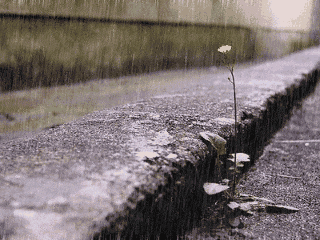 雨继续下！天津2区暴雨预警！好消息是……