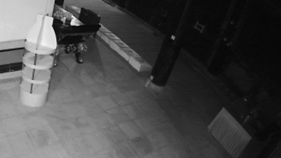 把功德箱当“提款箱”,男子两次“提款”未成反被抓 把功德箱当“提款箱”,男子两次“提款”未成反被抓