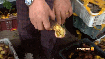 主打新鲜!清早采摘下午开抢!昆明这里的"车尾菌市"火啦 主打新鲜!清早采摘下午开抢!昆明这里的"车尾菌市"火啦