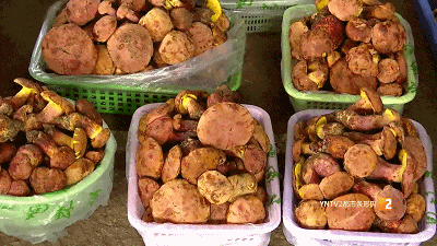 主打新鲜!清早采摘下午开抢!昆明这里的"车尾菌市"火啦 主打新鲜!清早采摘下午开抢!昆明这里的"车尾菌市"火啦