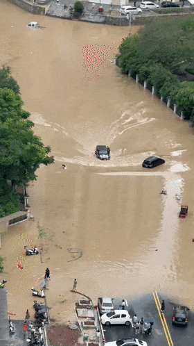 鄂QJ2434,“这一刻值49万”! 鄂QJ2434,“这一刻值49万”!