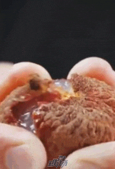 最近，深圳人的大拇指都是黑的