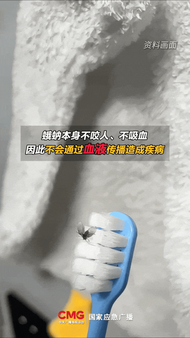 8岁女童持续呕出活虫!这种常见小飞蛾竟是“健康刺客”,家里的卫生间要多注意了 8岁女童持续呕出活虫!这种常见小飞蛾竟是“健康刺客”,家里的卫生间要多注意了