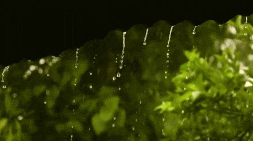 中到大雨+暴雨！大范围降雨继续，河北接下来……