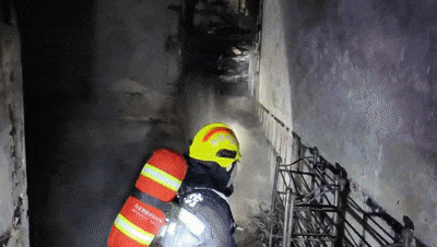 老两口出门1小时,回家“天塌了”! 老两口出门1小时,回家“天塌了”!