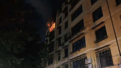 老两口出门1小时,回家“天塌了”! 老两口出门1小时,回家“天塌了”!