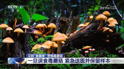 @镇江人,听劝!别捡!别吃! @镇江人,听劝!别捡!别吃!