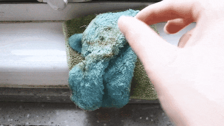 最近不少人家中出现,赶快清理! 最近不少人家中出现,赶快清理!