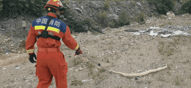 花溪惊现“黄金蟒”,贵阳消防紧急前往抓捕 花溪惊现“黄金蟒”,贵阳消防紧急前往抓捕