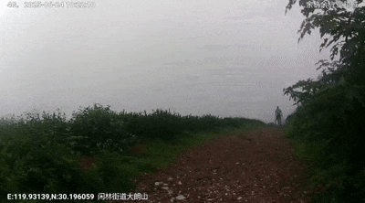 离谱!男子“失联”后暴走6天,只为忘了前女友 离谱!男子“失联”后暴走6天,只为忘了前女友