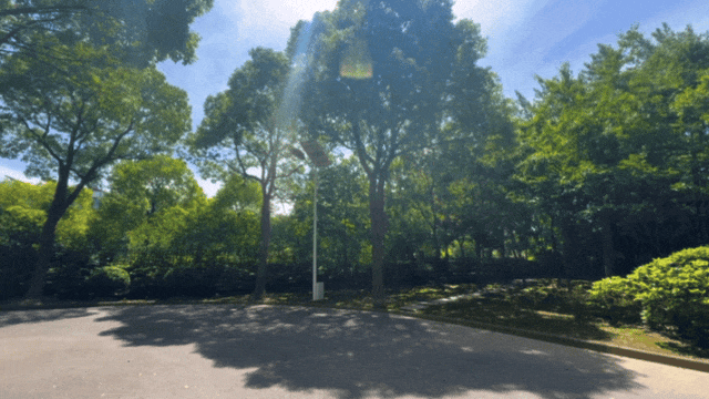 冲上热搜！突然在上海天空出现，大批市民抬头看，官方紧急提醒：直视有伤害