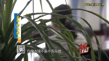 00后女子上海旅游两个月花费0元,衣食住行赖账全靠“薅羊毛”,上海警方:已抓获! 00后女子上海旅游两个月花费0元,衣食住行赖账全靠“薅羊毛”,上海警方:已抓获!