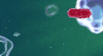 家里最脏的一个地方,却被很多人忽视了(不是厕所) 家里最脏的一个地方,却被很多人忽视了(不是厕所)