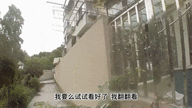 民警光天化日翻墙入户，竟是为了！