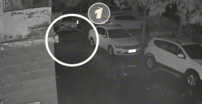 盗、销一锅端!4人落网! 盗、销一锅端!4人落网!