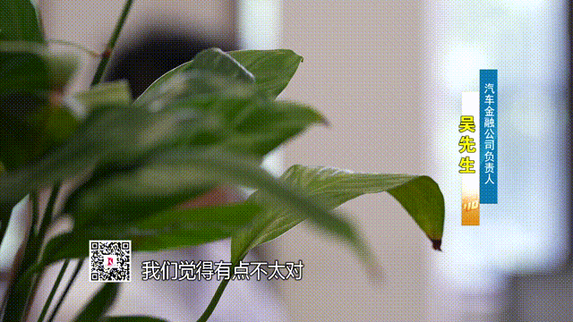 刚买下50万豪车,却在翻垃圾桶?上海警方查出瞠目真相! 刚买下50万豪车,却在翻垃圾桶?上海警方查出瞠目真相!