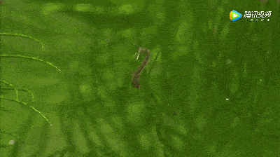 冲上热搜!杭州人注意:这杯水千万别喝 冲上热搜!杭州人注意:这杯水千万别喝