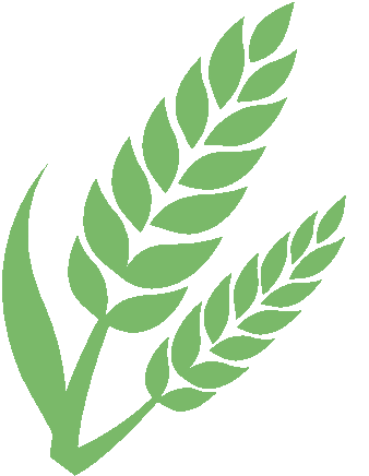 @不吃香菜：科学依据来了！不是挑食那么简单