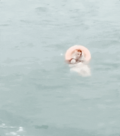 青岛玉米大姨跳海救人后重回原地摆摊，网友呼吁给她安排固定摊位，景区回应