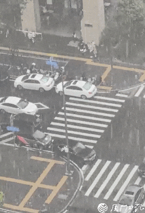 紧急提醒!厦门发布暴雨预警一级!航线停航! 紧急提醒!厦门发布暴雨预警一级!航线停航!