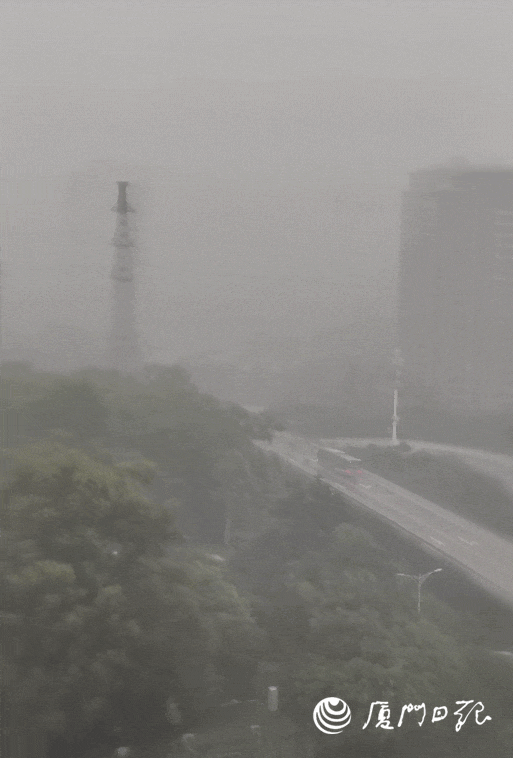 紧急提醒!厦门发布暴雨预警一级!航线停航! 紧急提醒!厦门发布暴雨预警一级!航线停航!