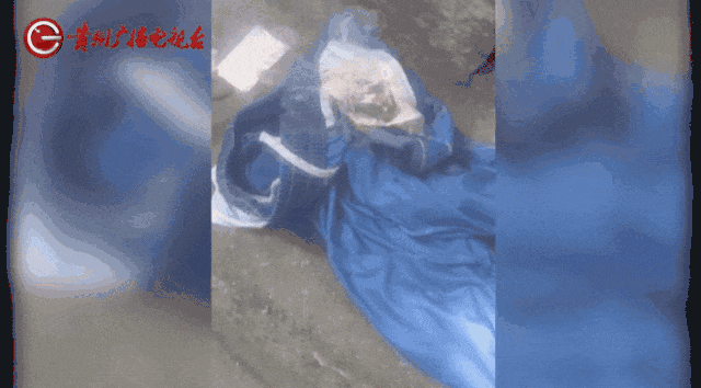 不要碰，不要捡！有人差点送命