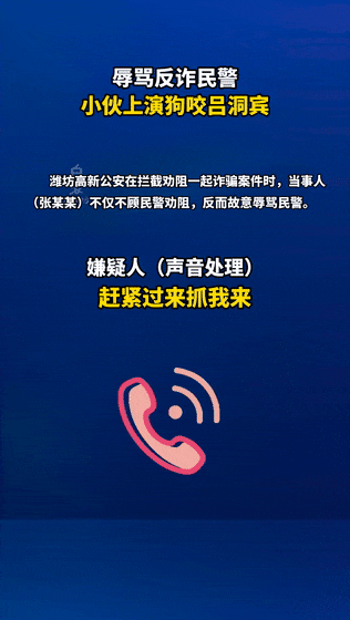 “过来抓我!” “好嘞!”小伙辱骂反诈民警，结局是……