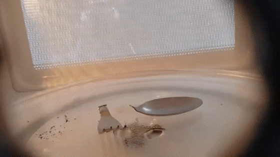 注意，这些东西不能放进微波炉！已有女演员眼睛被炸伤