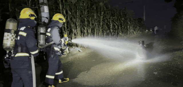 姐弟三人的一碗炸土豆，竟把家也“炸”了？