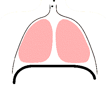 睡觉时这个“小动作”，可能正在悄悄伤害你的健康！进来自查→