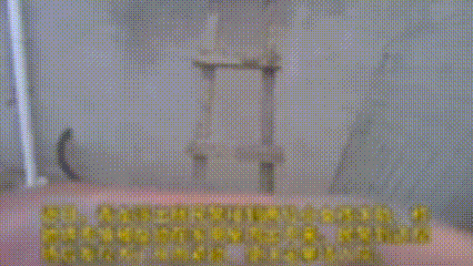 “飞檐走壁”！这位民警被网友疯狂点赞！