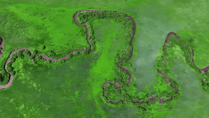 休牧，增收，两不误！